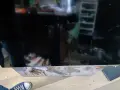 TV Rancore T32S133 android , снимка 1