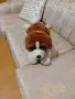 ПЛЮШЕНА ИГРАЧКА КУЧЕНЦЕ, снимка 7