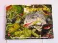 Комплект от 8 детски енциклопедии и занимателни книги, снимка 6