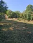 Парцел в регулация ! Ток ,вода !, снимка 1