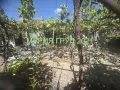 ✨ ЕДНОЕТАЖНА КЪЩА С ГОЛЯМ ДВОР, ГАРАЖ И ЛЯТНА КУХНЯ В С. РАДИЕВО, ОБЛАСТ ХАСКОВО ✨, снимка 3