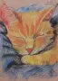 Картина с коте Рижко, снимка 1