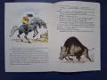 ЛОТ Стари Детски Книги Тайната под Морето Комикс Щука Велика Плодчетата, снимка 13