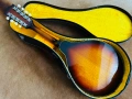 Made in JAPAN! 1970's Мадолина "The Kasuga" M-18 с оригинален кейс!, снимка 6