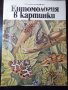 Книга "Ентомология в картинки-Виталий Танасийчук" - 40 стр.