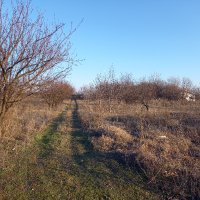 Парцел с овощни дръвчета 4 дка между Крумово и Ягодово, снимка 1 - Земеделска земя - 35558502