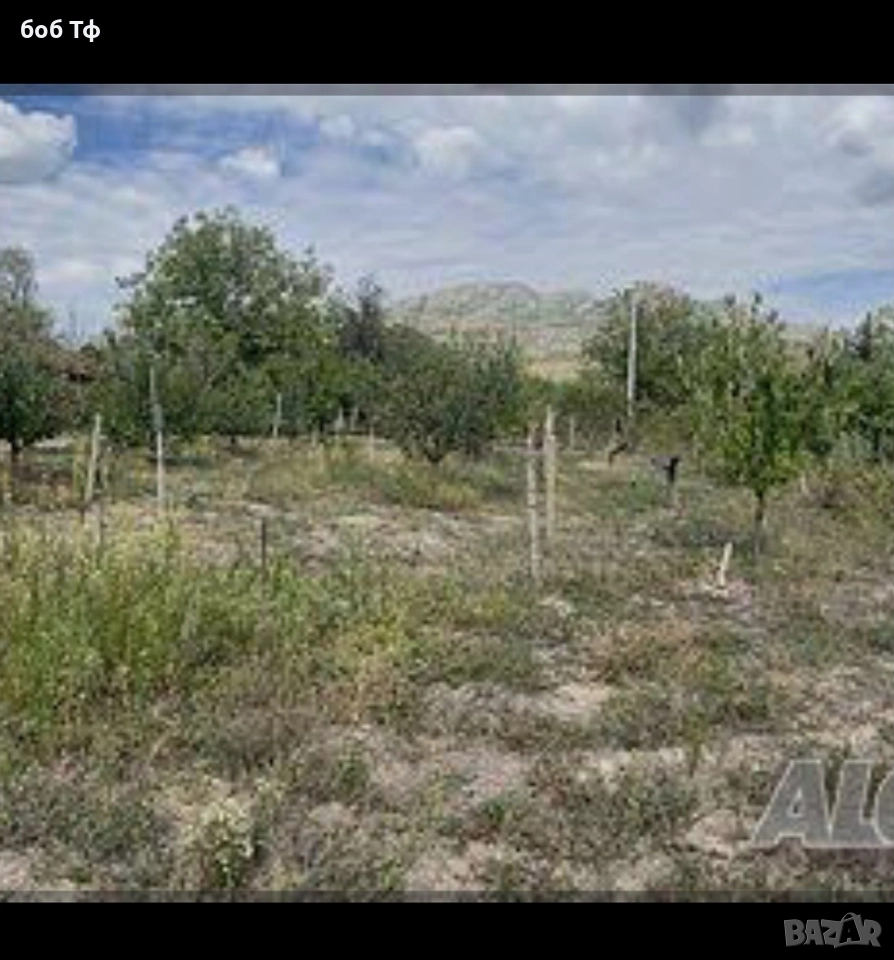 Продавам циментови колове от изоставени лозя, снимка 1