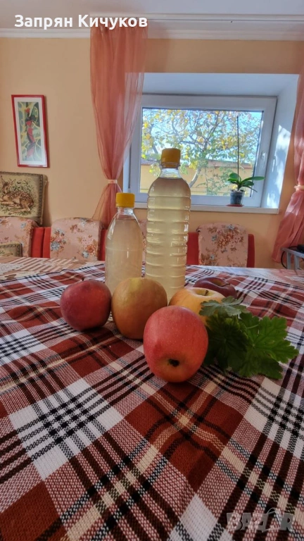 домашен ябълков оцет, снимка 1