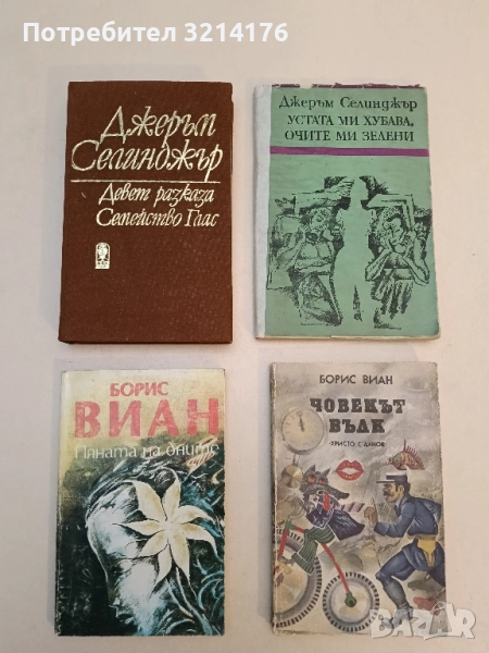 Пяната на дните - Борис Виан, снимка 1