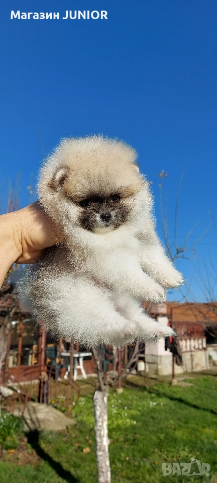 мини момиче, снимка 1