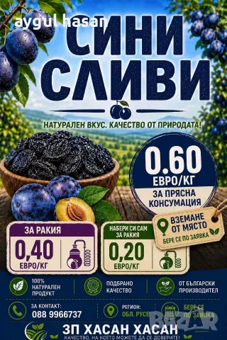 Сини сливи Йо-йо, Стенлей , снимка 3 - Други - 56067197