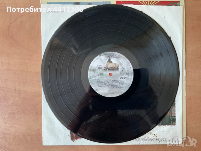 Грамофонна плоча 12”, снимка 5 - Грамофонни плочи - 51475162