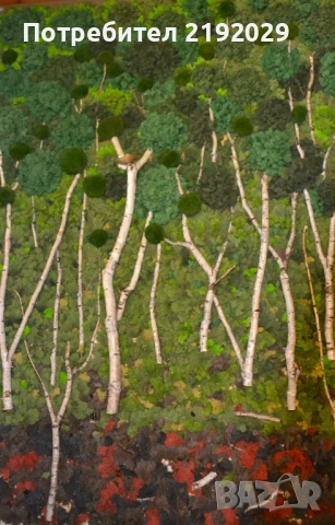 Зелена ДЕКОРАТИВНА СТЕНА от Скандинавски мъх „Гора“, снимка 8 - Други - 51513911