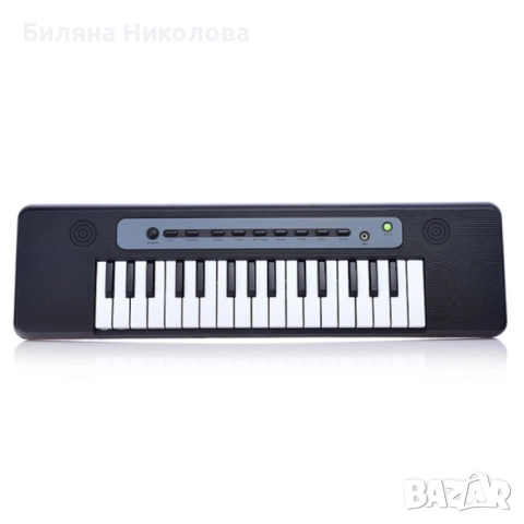Детска йоника с микрофон, снимка 4 - Музикални играчки - 52565085