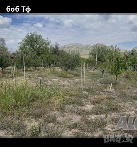 Продавам циментови колове от изоставени лозя