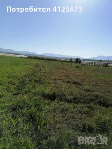 Продавам земеделска земя в землището на с.Ново Делчево, общ. Сандански, снимка 3 - Земеделска земя - 50090169