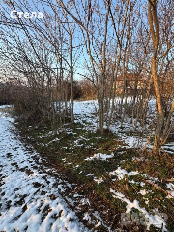 УПИ с. Драшан, снимка 3 - Парцели - 53177977