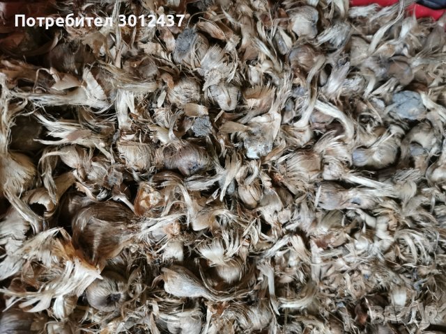 Шафран, снимка 6 - Други - 38513232