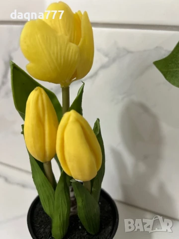 Лалета , снимка 2 - Декорация за дома - 50814177