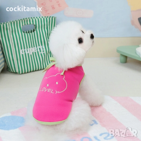 Яке за куче размер XL