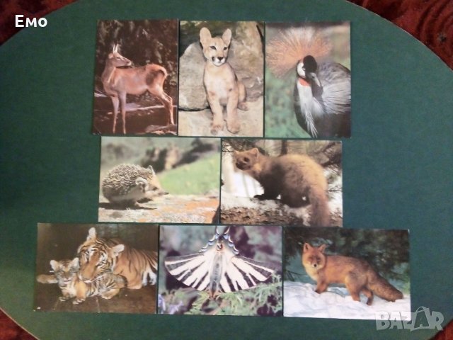 За колекционери! Отлично запазени руски поздравителни и обикновени картички!, снимка 10 - Ученически пособия, канцеларски материали - 31272380