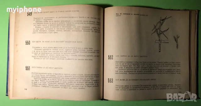 Стара Книга 599 Съвета за Любителя Цветар, снимка 12 - Специализирана литература - 49203115