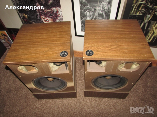 ТОНКОЛОНИ Bose 501, снимка 2 - Тонколони - 52246984