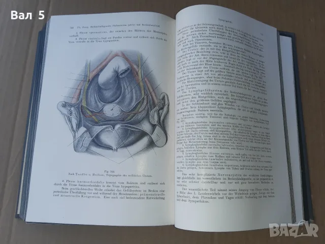 Стар учебник ГИНЕКОЛОГИЯ 1913 г - 802 страници. РЯДЪК !!!, снимка 7 - Специализирана литература - 55991916