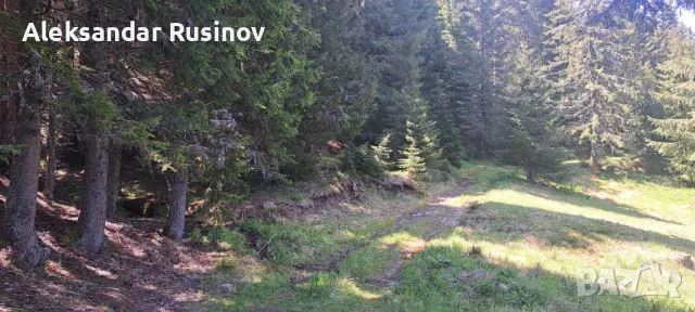 Продава земеделска земя в Родопите, снимка 3 - Земеделска земя - 49993572