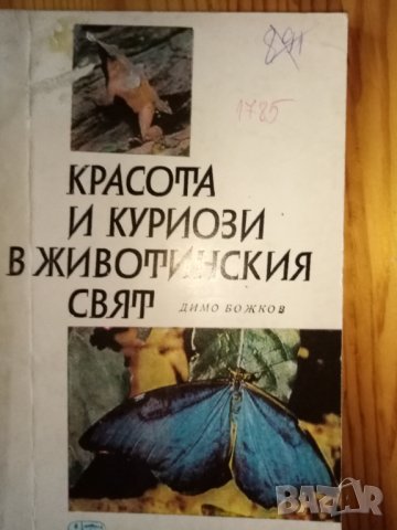 Красота и куриози в животинския свят – Димо Божков