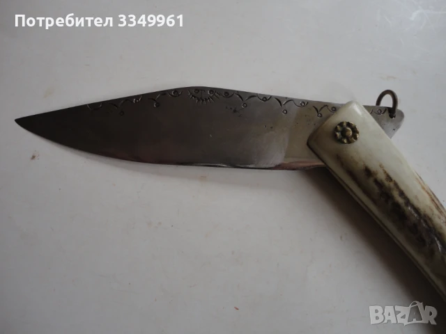 Невероятна сойка нож рог гравюри наваха 3, снимка 2 - Ножове - 51281266