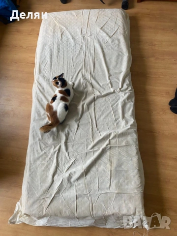 Единични матраци - чифт, 185х80см