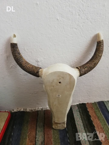 Резбован череп с разглобяеми Рога, снимка 9 - Декорация за дома - 50574311