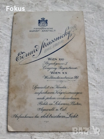 Стара снимка Австрия Виена - дебел картон фотография, снимка 2 - Антикварни и старинни предмети - 53306917