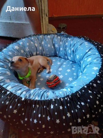 Кучешки легла , снимка 17 - За кучета - 22307288