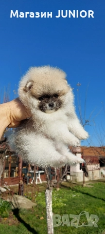 мини момиче