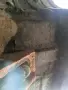 Сузуки Гранд Витара 16V-1,6 92г. -с газ, снимка 4