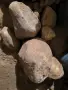Подарявам средно големи камъни, снимка 2