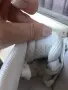 Дамски сникърси Guess , снимка 3