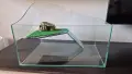 Терариум + декоративна пещера, снимка 1