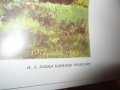 СТИКЕРИ И ПОЗДРАВИТЕЛНИ КАРТИЧКИ и стари пощенски -СССР, снимка 10