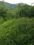 вила/къща Луково Софийско, снимка 3