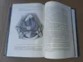 Стар учебник ГИНЕКОЛОГИЯ 1913 г - 802 страници. РЯДЪК !!!, снимка 7
