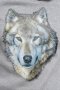 Нов мъжки сив суичър с трансферен печат Вълк със сини очи, Серия вълци, снимка 2