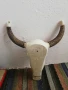 Резбован череп с разглобяеми Рога, снимка 9