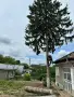 Рязане и премахване на опасни дървета, снимка 10