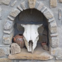 Стар кравешки череп, снимка 1 - Други ценни предмети - 35238355