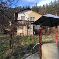 Къща в село Свидня, снимка 1 - Къщи - 35007304