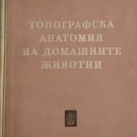 Топографска анатомия на домашните животни. Второ издание. Стефан Иванов, 1958г., снимка 1 - Специализирана литература - 32109024
