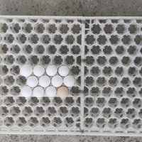 Приставка за кокоши яйца за Инкубатор, снимка 2 - Кокошки и пуйки - 34531173